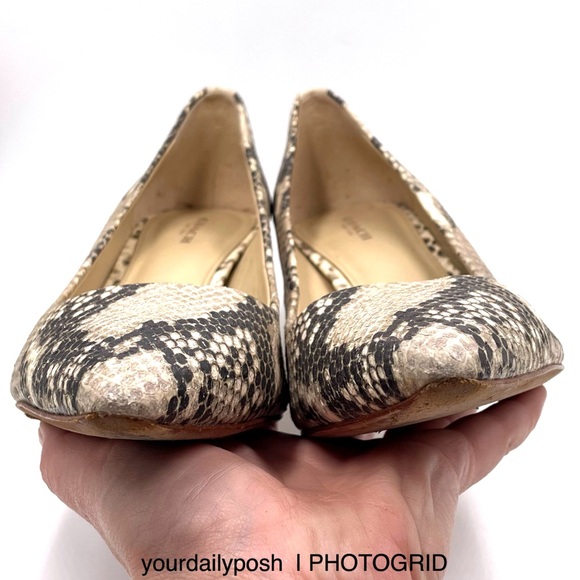 Coach snake print leather Grand gray and black heels pumps US 8.5 - Picture 5 of 11